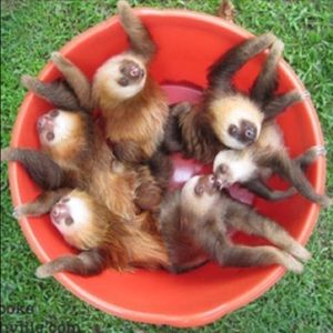 Meet your Posher, Virginia